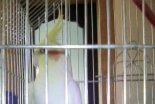 Нажмите на изображение для увеличения